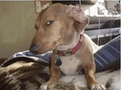 Bombastic side eye